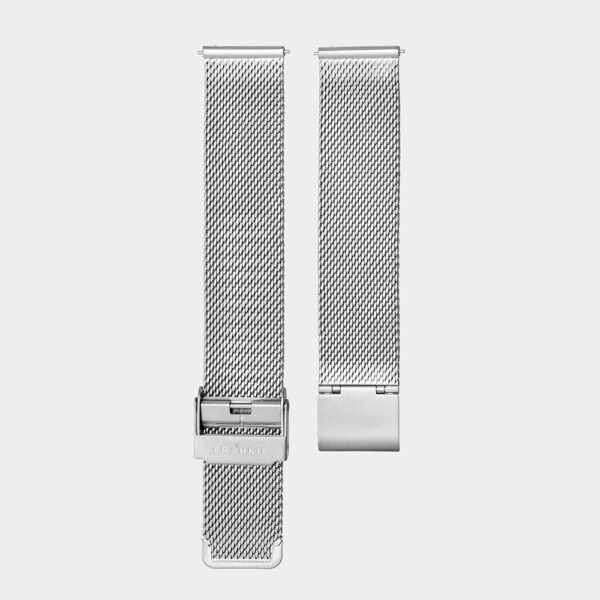 Silver Mesh Iconic Strap